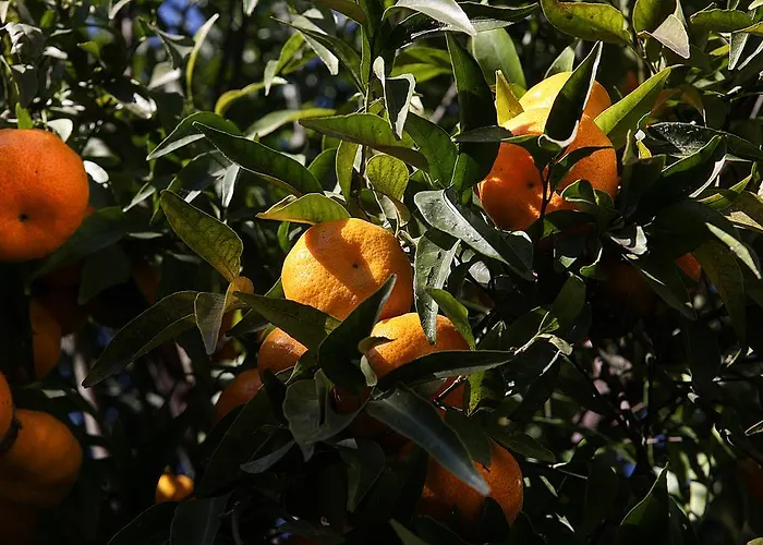 Grand Capodimonte 4*