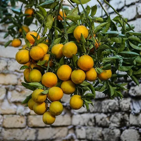 Grand Capodimonte Ξενοδοχείο