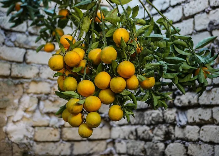 Grand Capodimonte Hotel